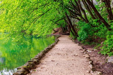 Path near a forest lake in Plitvice Lakes National Park