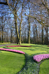 Beautiful landscape with a trees and flowers in the park Keukenh