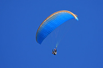 Paraglider