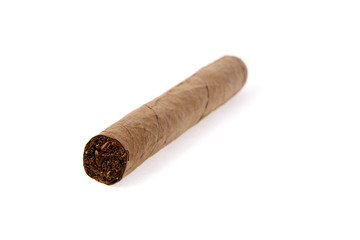 Cigars on White Background