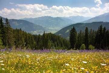 View from Austrian Alps around Zell am See