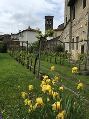 Cividale del Friuli, giardino e vigna del Monastero Maggiore