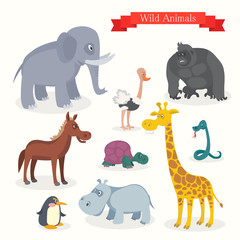 Animal cartoons, safari, wild nature