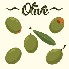 Olive set.Hand drawn olives