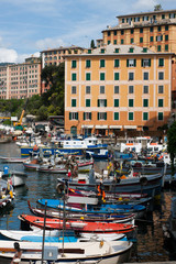 Port de Camogli