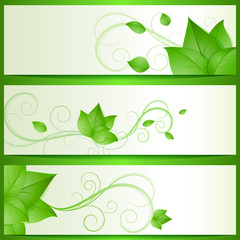 Abstract green leaves eco vector banners with copy space.