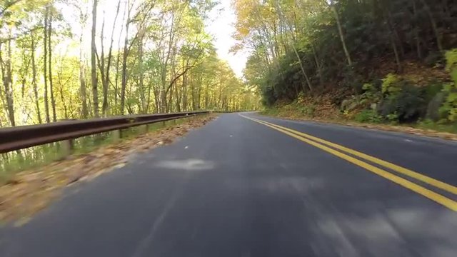 Leaves blow across behind a moving vehicle