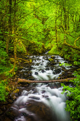 Cascades on Bridal Veil Creek in the Columbia River Gorge, Orego