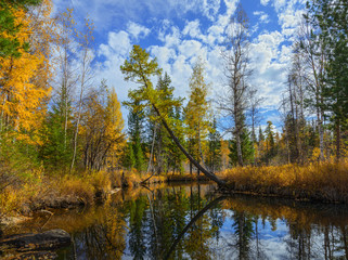 Autumn River Olha in eastern Siberia