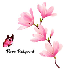 Fototapeta premium Nature background with blossom branch of pink flowers and butter