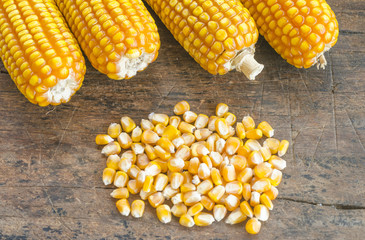 Close up to the pile of grain corn on a wooden background .