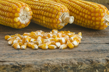 Close up to the pile of grain corn on a wooden background .