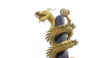 Fototapeta premium Golden Dragon