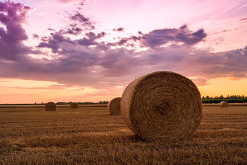 Sunset over farm field with hay bales © Kavita