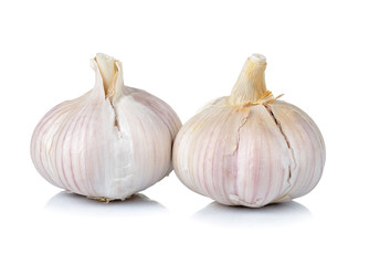 garlic on white background