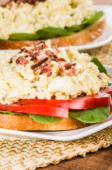 Egg salad sandwhich on a white plate