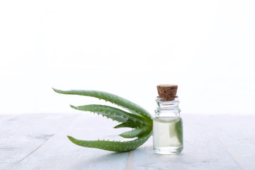 fresh aloe vera with aroma oil on wood background