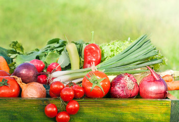 fresh organic vegetables in my garden