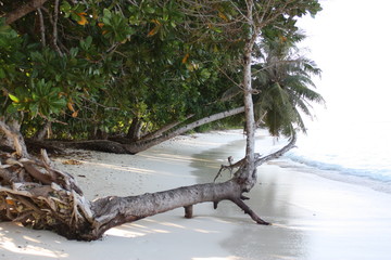 Indonesian outer islands