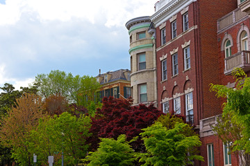 Fototapeta na wymiar Shades of green color and townhouses in Washington DC.