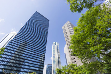 新宿高層ビル群　快晴青空　新緑