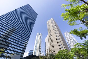 Fototapeta premium 新宿高層ビル群 快晴青空 新緑