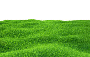 Obraz premium Green grass growing on hills with white background top view