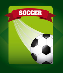 Obraz premium football soccer