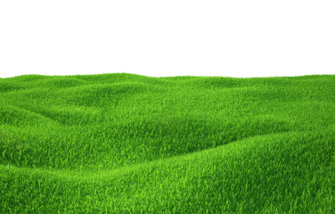 Green grass growing on hills with white background top view