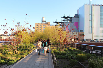 New York City / High Line Walkway