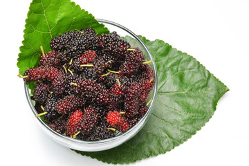 mulberry