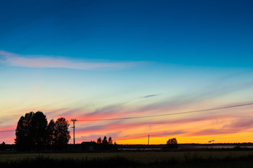 Tree Silhouettes Against The Autumn Sunset