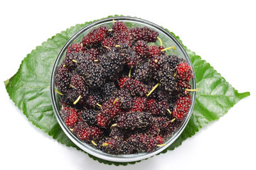 mulberry
