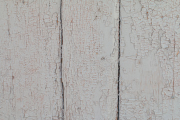 white background of natural wood