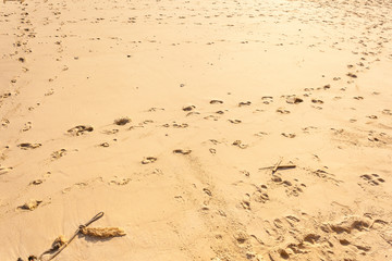 Footprints in the sand