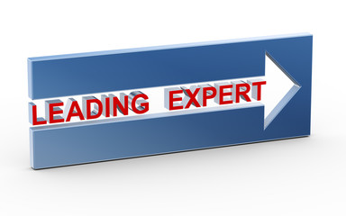 3d leading expert