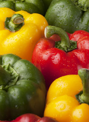 fresh peppers with dew drop close up