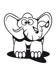 Elephant animal funny