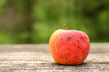 Rotten apple on wooden table