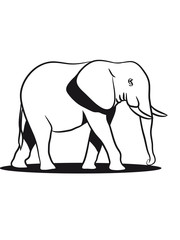 Elephant animal Africa