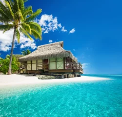 Photo sur Plexiglas Bora Bora, Polynésie française Bungalow tropical sur la magnifique plage avec palmier