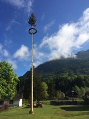 Maibaum