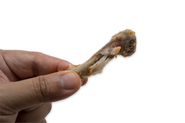 chicken drumsticks spice bake fried snack  hot herb concept