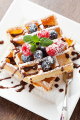 Fresh homemade brussels waffle with berries