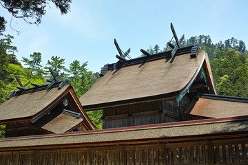 出雲大社　本殿