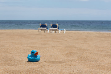 Obraz premium White beach - sand, ocean, blue sky - sun beds and duckling