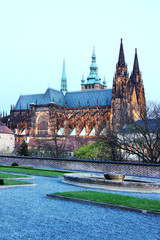 Gothic St. Vitus' Cathedral on Prague Castle in the Evening
