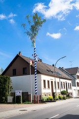 Maibaum