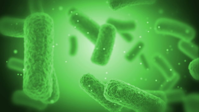 green Bacteries X-Ray.