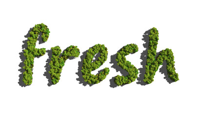 fresh create by tree with white background